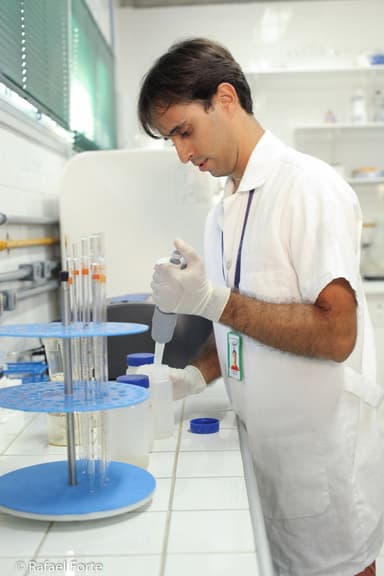 João Paulo Borges Pedro