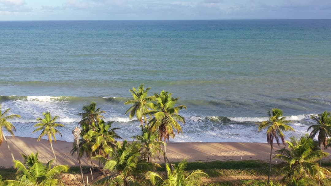 Praia paradisíaca com coqueiros e mar azul