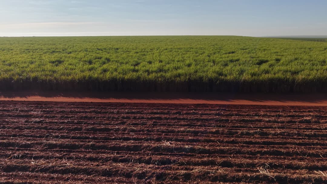 Plantação de cana-de-açúcar e solo arado