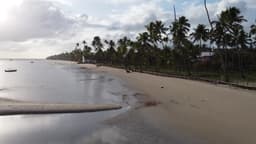 Tamandaré PE - Praia dos Carneiros