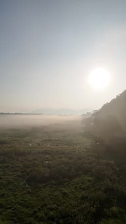 Amanhecer névoa 