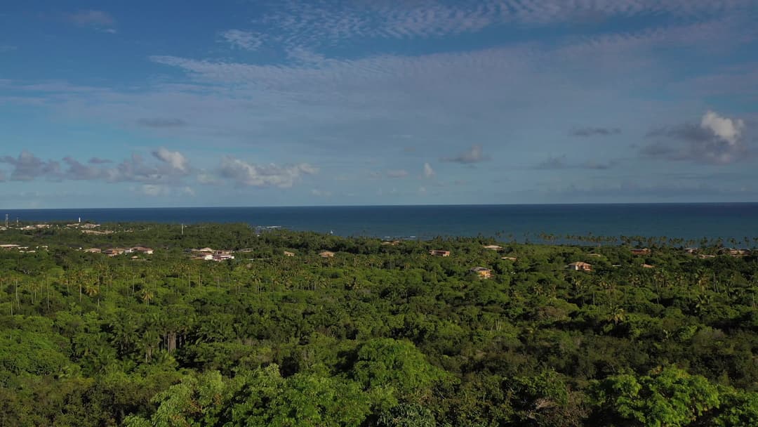 Vista aérea da floresta e mar ao fundo passando por dentro de janela