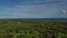 Vista aérea da floresta e mar ao fundo passando por dentro de janela