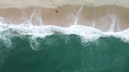 Imagem linda, a entrada na praia em 4K