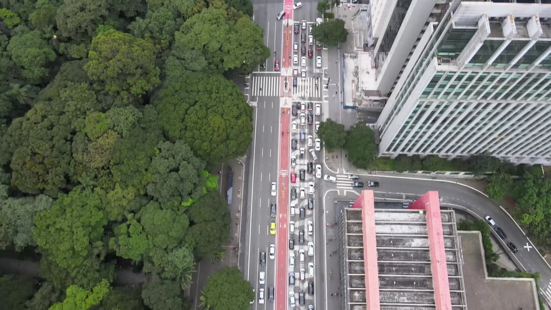 Avenida movimentada ao lado de parque urbano