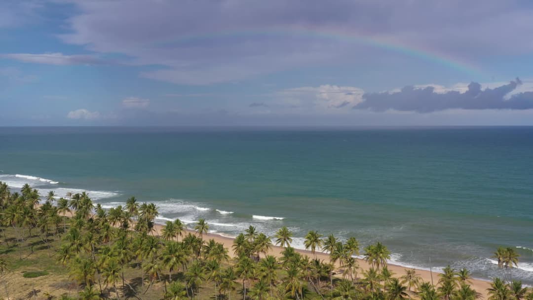 Arco-íris sobre praia de coqueiros tropicais