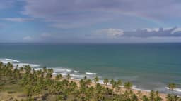 Arco-íris sobre praia de coqueiros tropicais