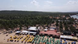Praia do Gunga - Alagoas