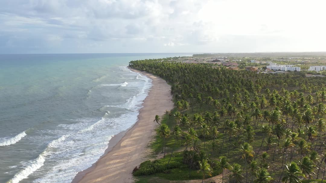Praia paradisíaca com coqueirais à beira-mar