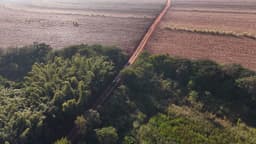 Estrada de terra cortando a plantação