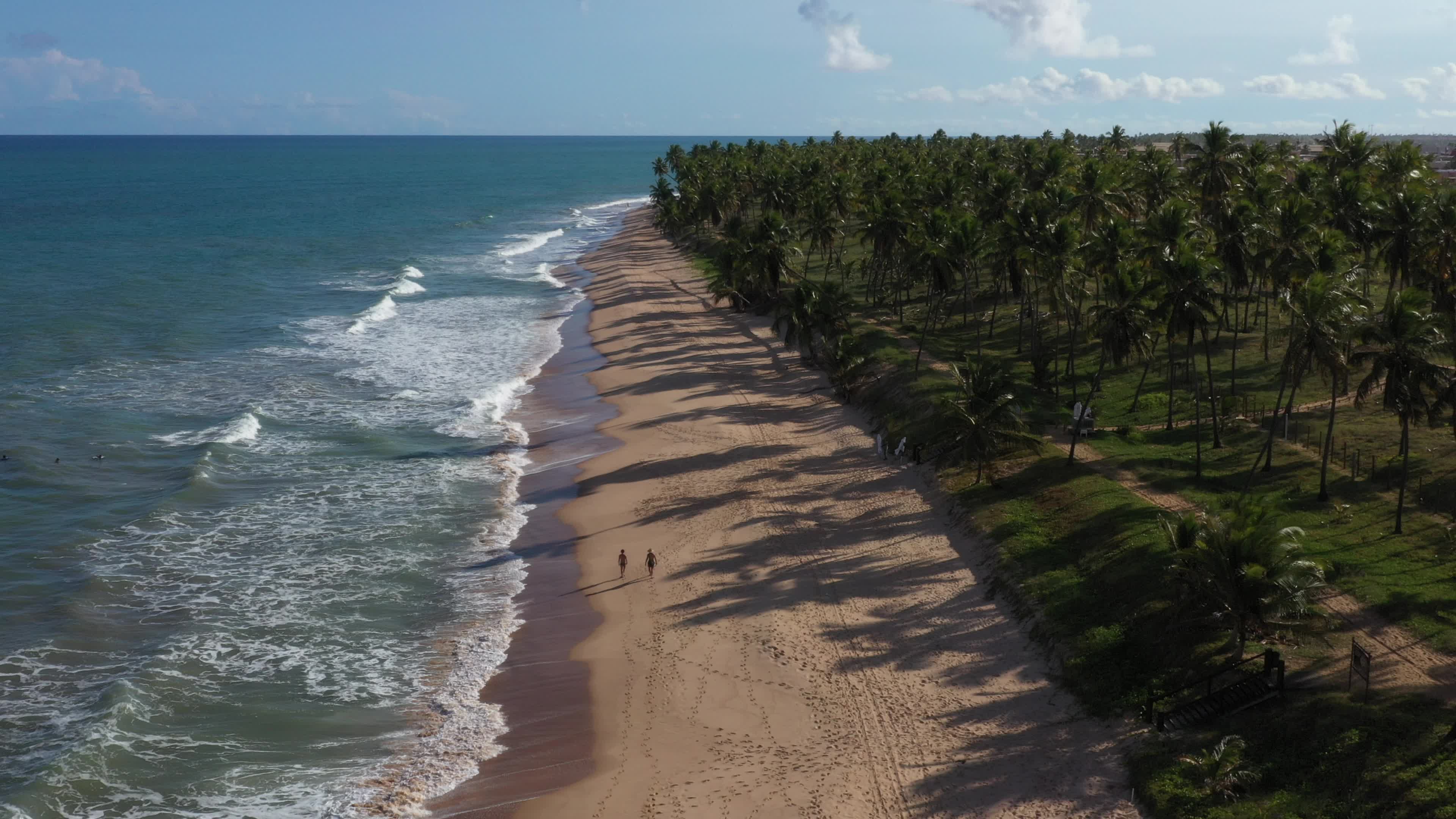 Praia deserta com coqueiros e mar azul