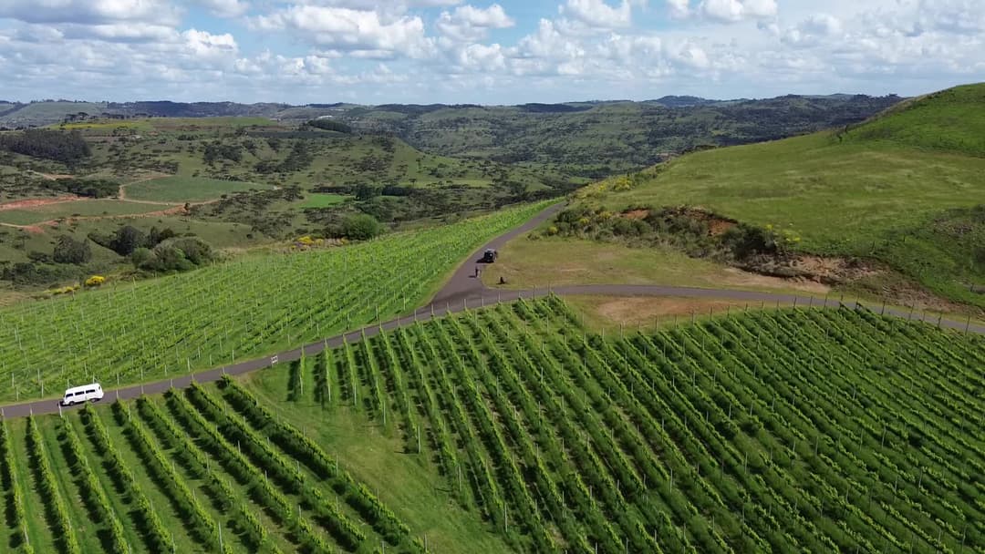 Sobrevoo Viniciola Villagio em São Joaquim/SC