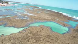 Piscinas Naturais e Passeio  de Jangada 
