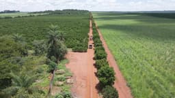 Carro e trator em meio a plantaçoes