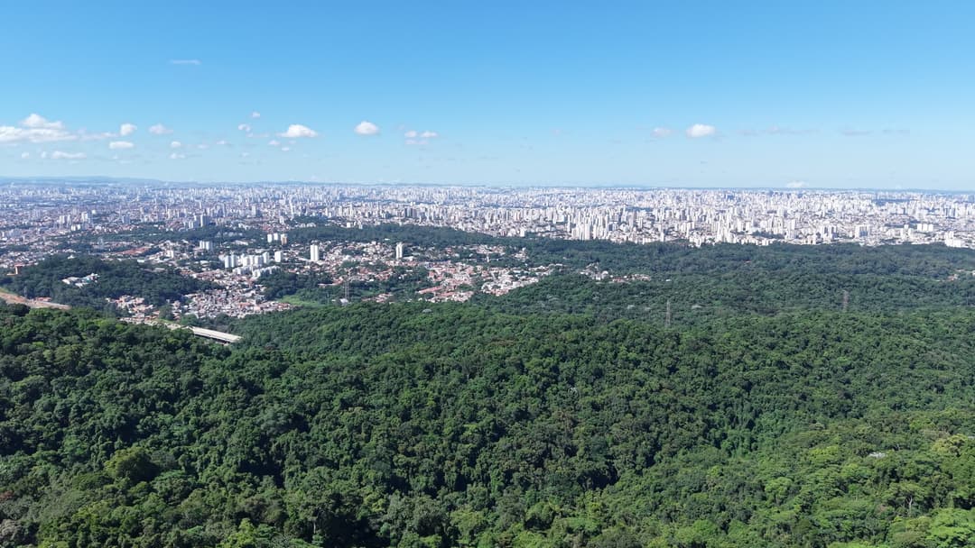 Parque Estadual da Cantareira - São Paulo
