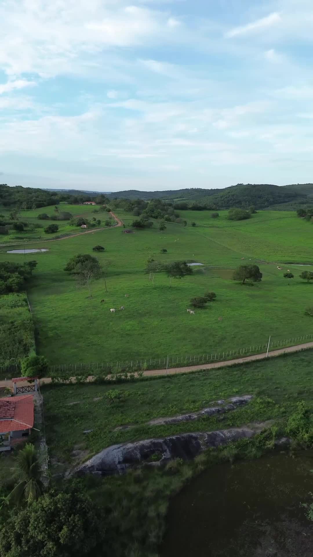 Sítio Tananduba 