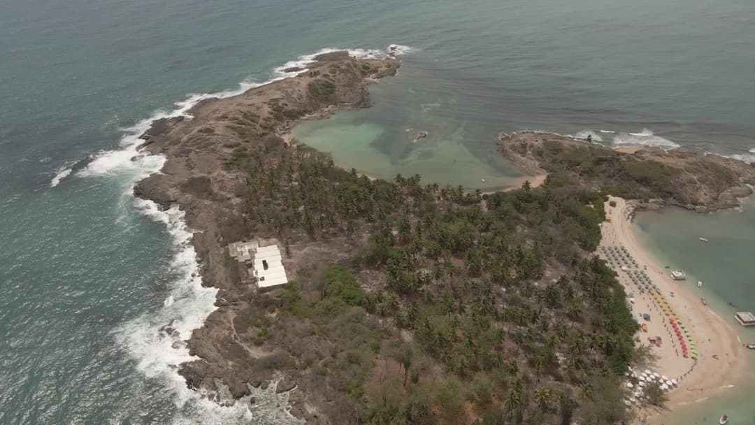 Praia paradisíaca com coqueiros e mar cristalino