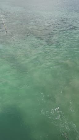 Passagem da Canoa em aguas cristalinas com tons de verde