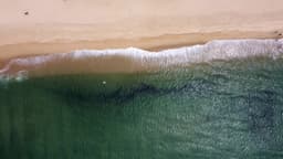 Cena pacífica de ondas do mar verde na areia da praia. Birdeye aéreo, dolly para esquerda