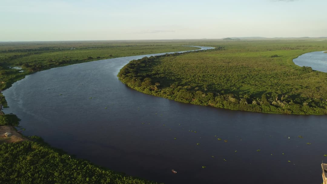 Rio Paraguai no Pantanal Sul Matogrossense