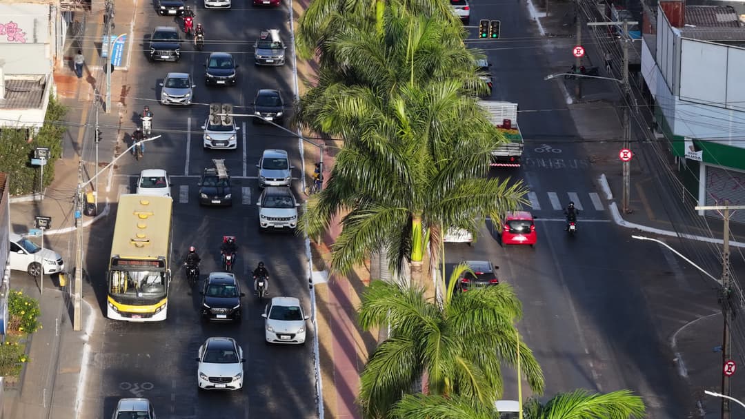 Avenida movimentada dividida por palmeiras
