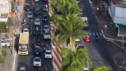 Avenida movimentada dividida por palmeiras