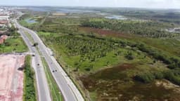 O caminho para o paraíso de Porto de Galinhas.