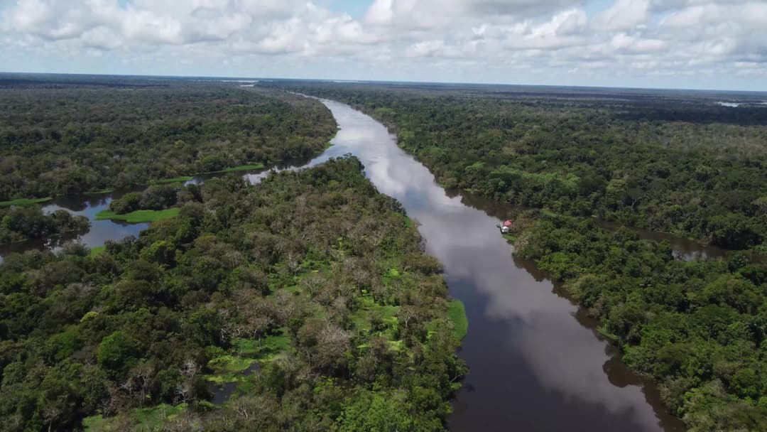 Sobrevoo na floresta protegida na Amazônia