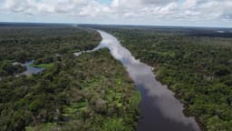 Sobrevoo na floresta protegida na Amazônia