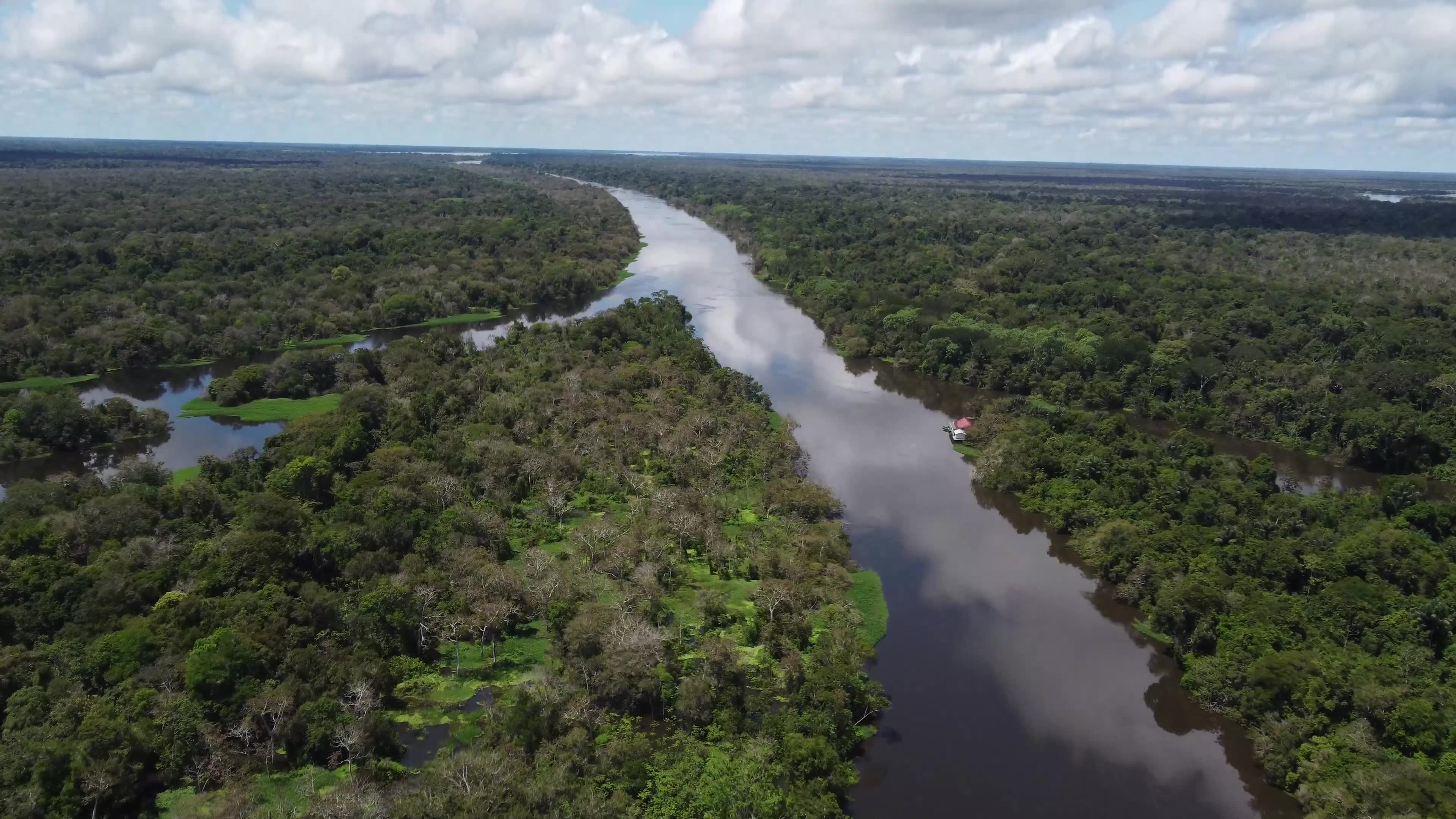Sobrevoo na floresta protegida na Amazônia