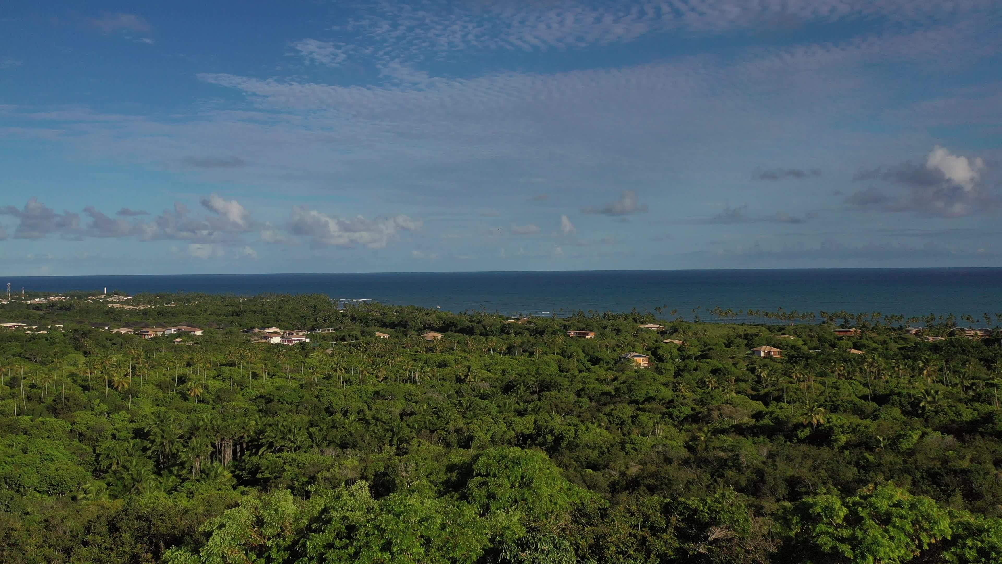 Vista aérea da floresta e mar ao fundo passando por dentro de janela