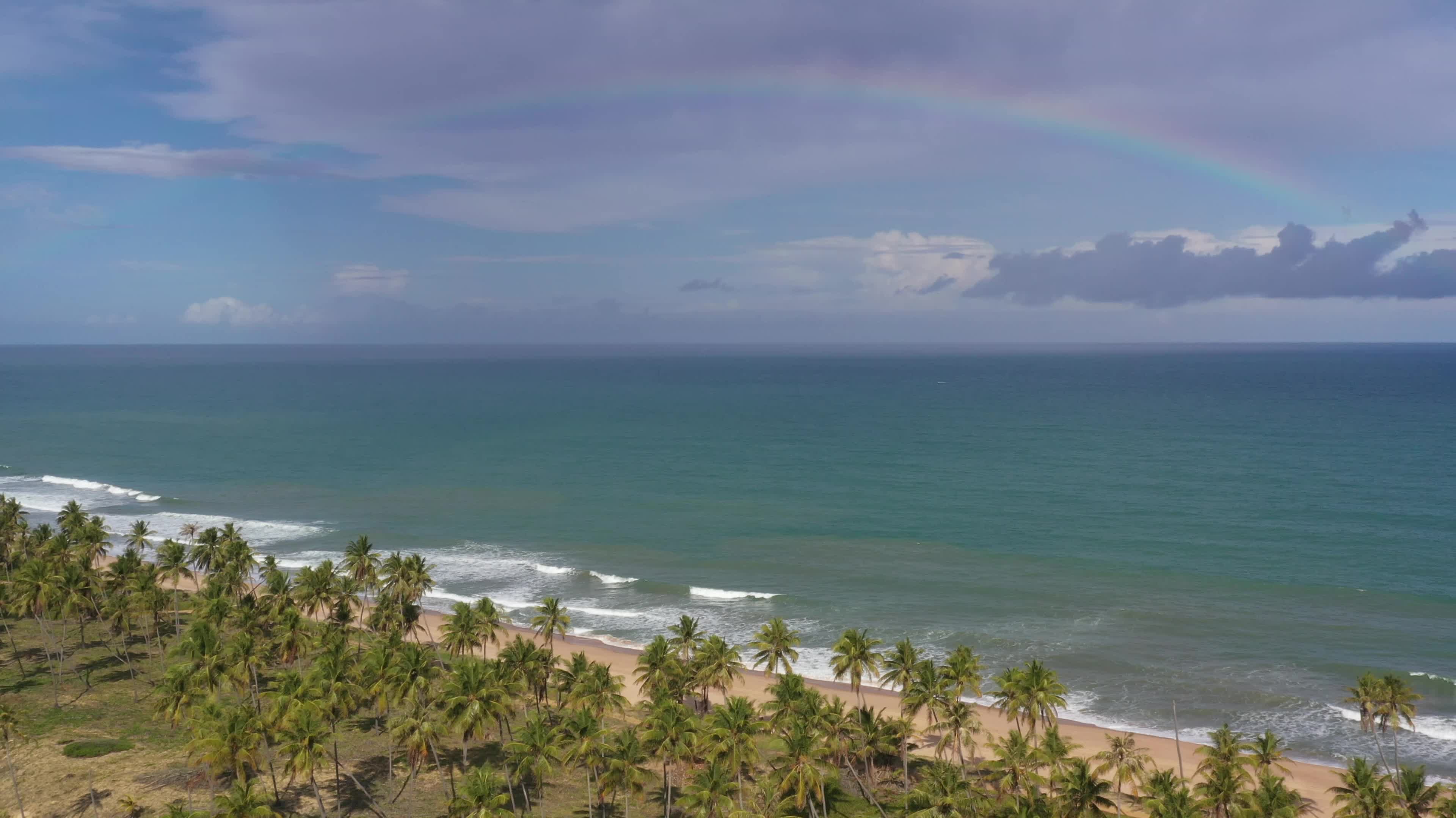 Arco-íris sobre praia de coqueiros tropicais