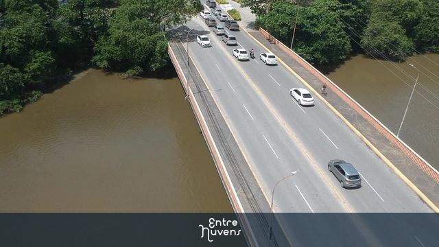A beleza do mangue com um olhar diferente 