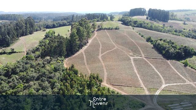 Agro catarinense — vídeo aéreo de Santa Terezinha