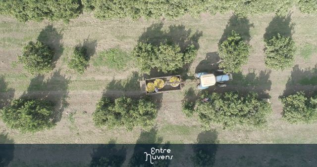 Agro Plantação — vídeo aéreo de Boituva