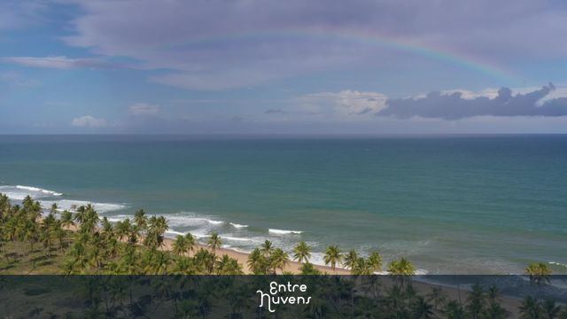 Arco-íris sobre praia de coqueiros tropicais — vídeo aéreo de Mata de São João
