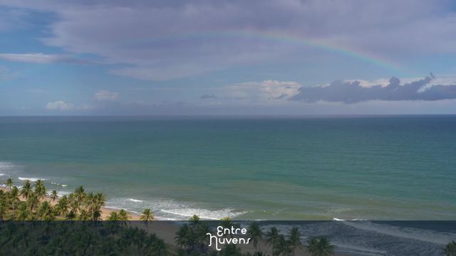 Arco-íris sobre praia de coqueiros tropicais — vídeo aéreo de Mata de São João