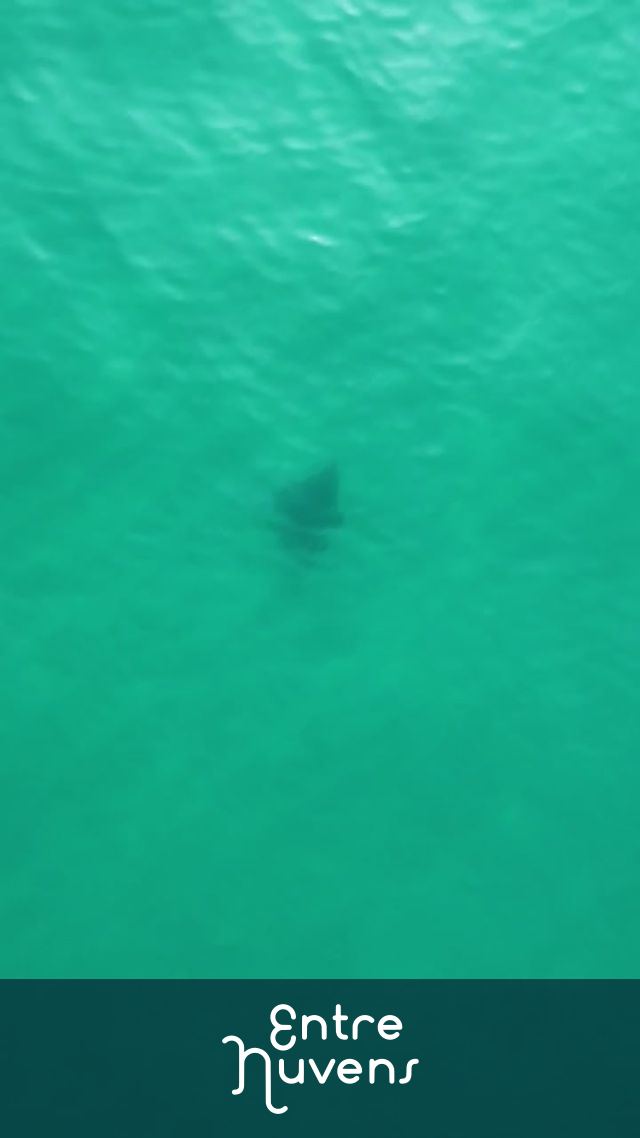 Arraia na praia da Barra