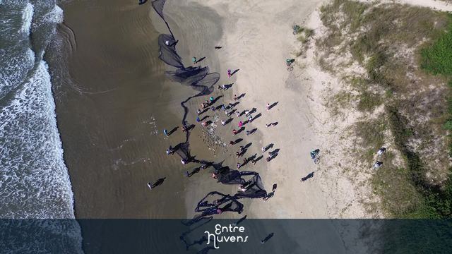 Arrasto de praia 