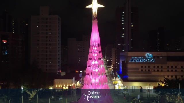 Árvore de Natal iluminada em  Fortaleza à noite
