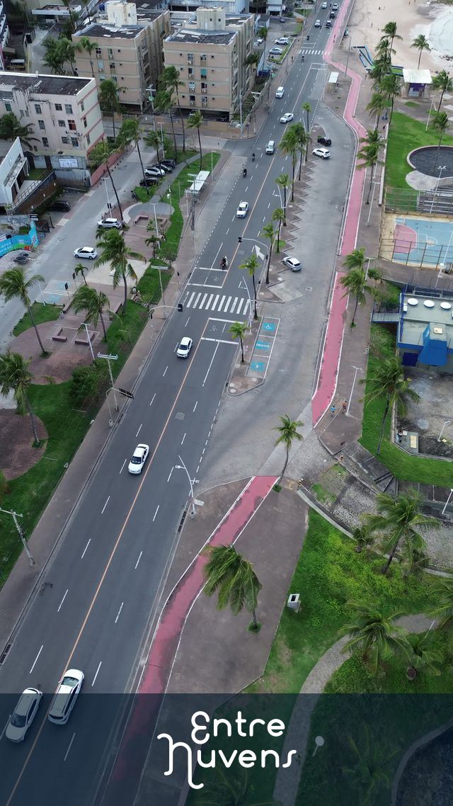 Avenida à beira-mar com ciclovia e palmeiras