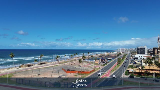 Avenida à beira-mar com ciclovia e palmeiras
