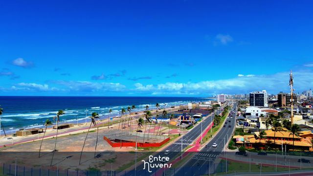 Avenida à beira-mar com ciclovia e palmeiras