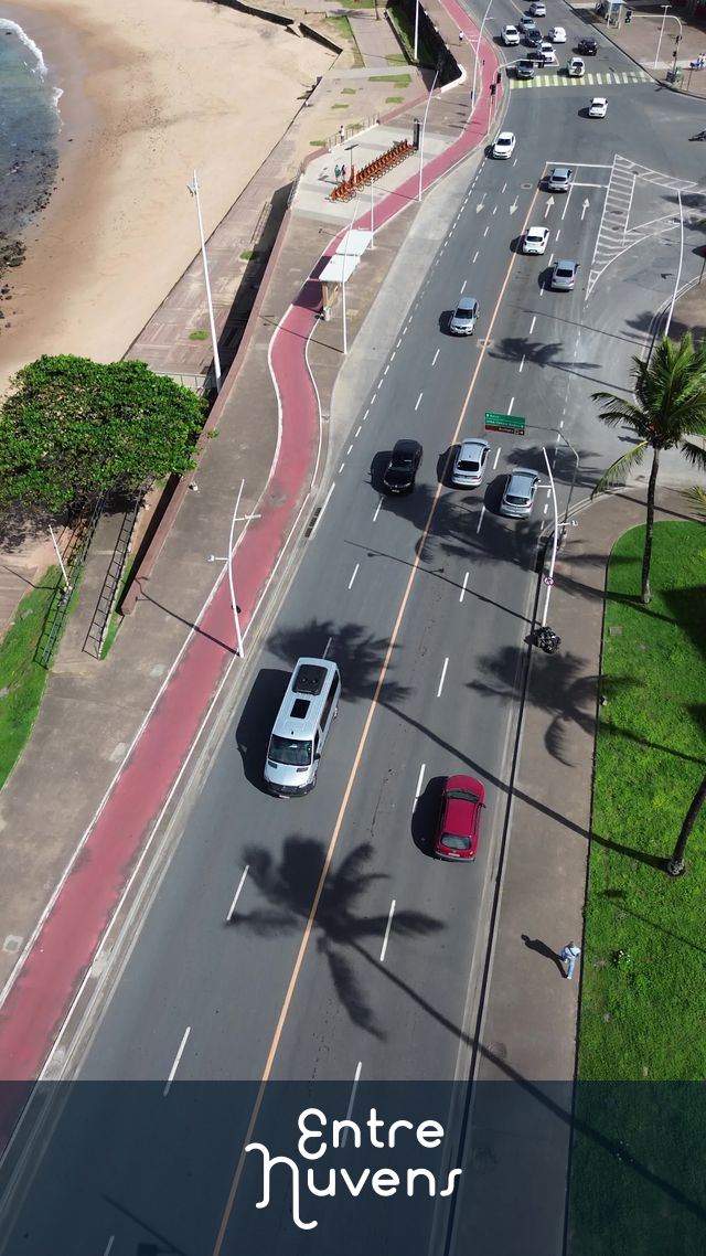 Avenida à beira-mar com ciclovia e sombras de palmeiras