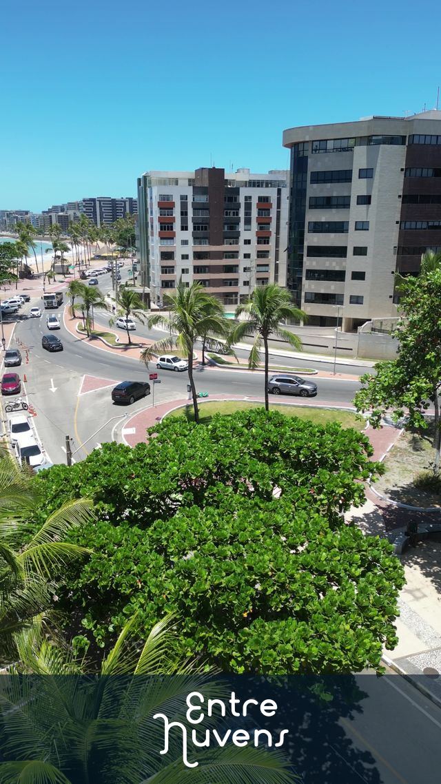 Avenida arborizada à beira-mar com edifícios — vídeo aéreo de Maceió