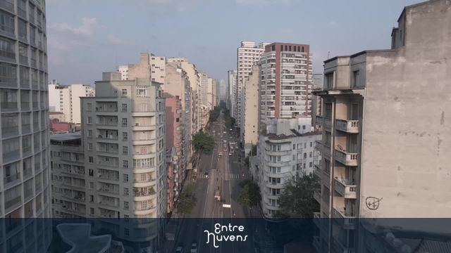 Avenida arborizada entre prédios altos