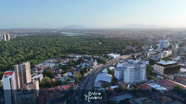 Avenida com fluxo de veículos