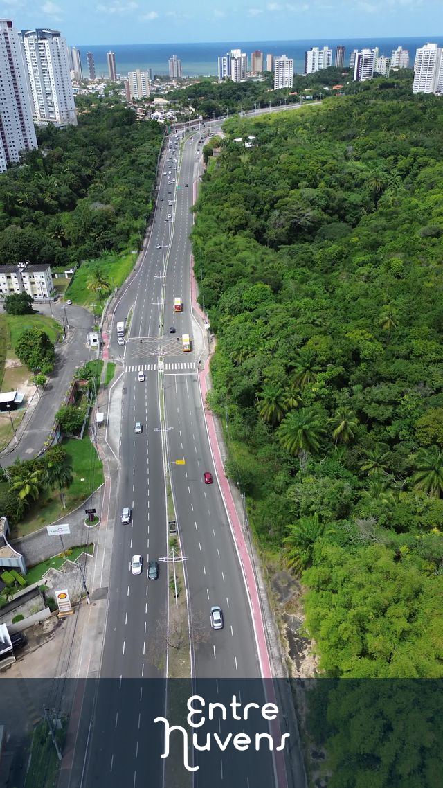 Avenida entre Mata Atlântica e Prédios Urbanos