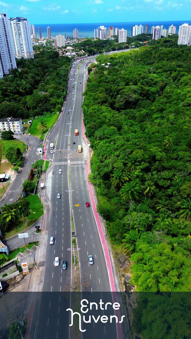 Avenida margeando a mata urbana e o mar