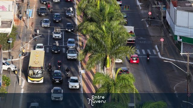 Avenida movimentada dividida por palmeiras
